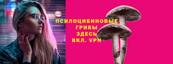 мдма Козельск