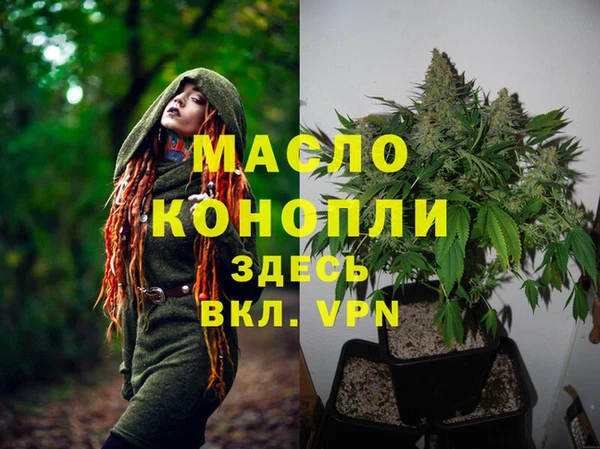 ГАЛЛЮЦИНОГЕННЫЕ ГРИБЫ Нестеровская