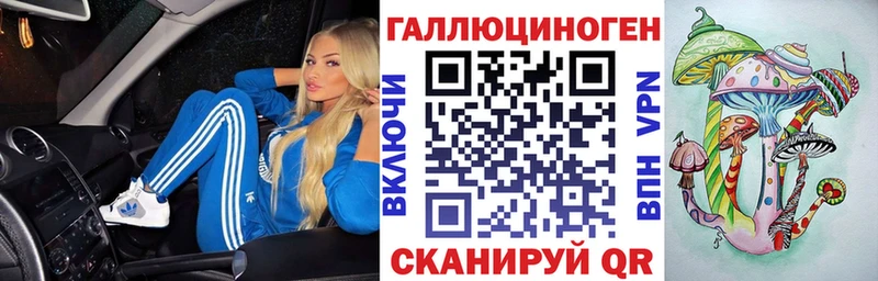 Купить  Луховицы  Галлюциногенные грибы Psilocybine cubensis 